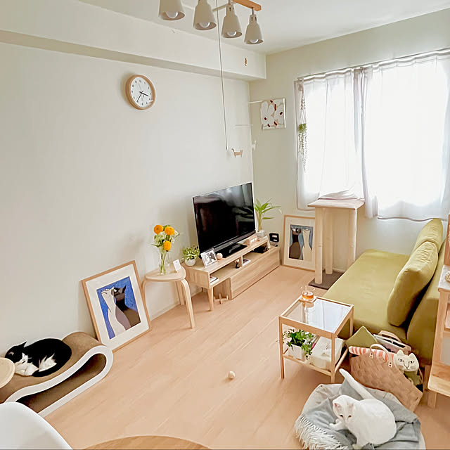 kiyomiさんの部屋