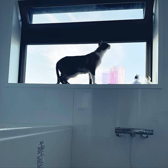 muuさんの実例写真