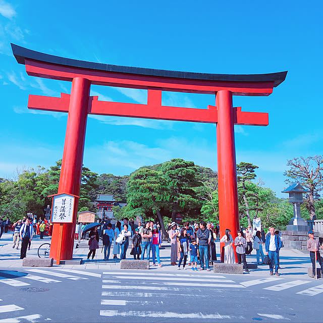 実例写真
