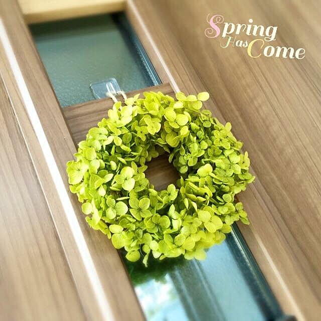 玄関/入り口/ハンドメイド/リクシルのインテリア実例 - 2016-02-15 11:31:29