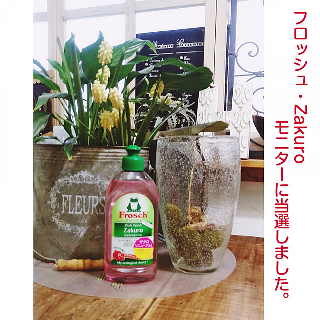 majoさんの実例写真
