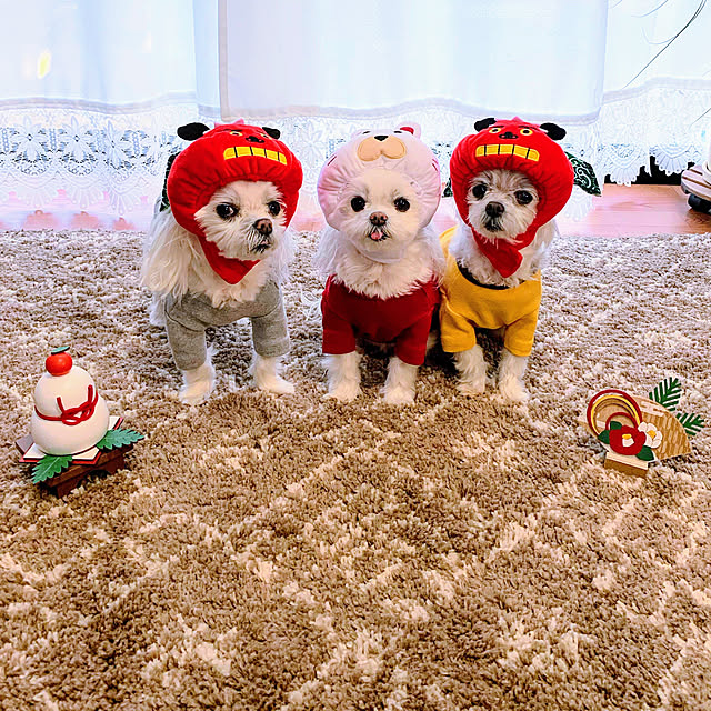 ponyoさんの実例写真