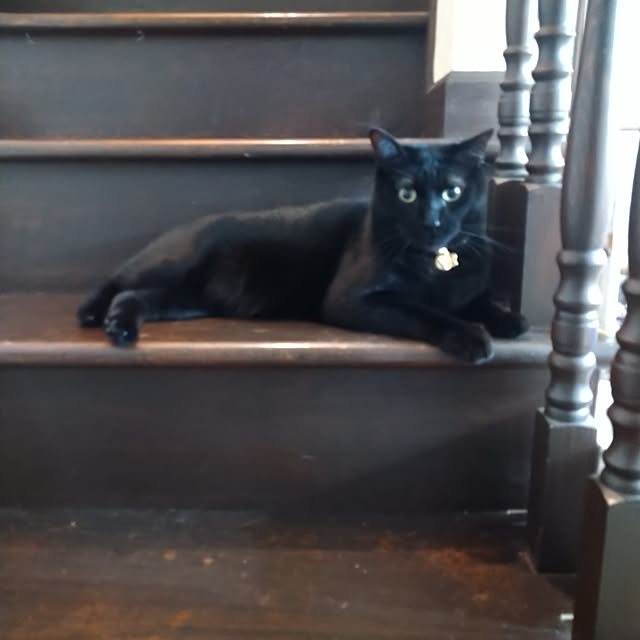 Tさんの実例写真