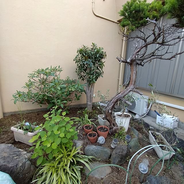 RUrumoさんの実例写真