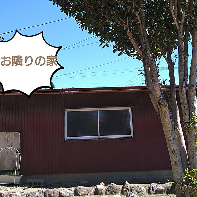 ameamekaasanさんの実例写真
