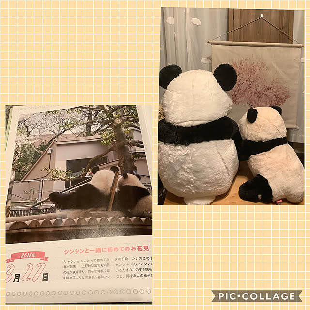 eighterさんの実例写真