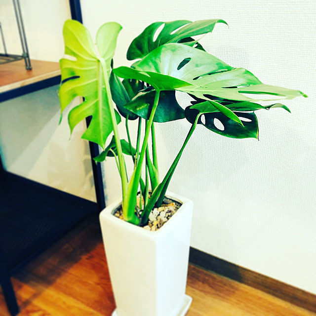 Taichiさんの実例写真