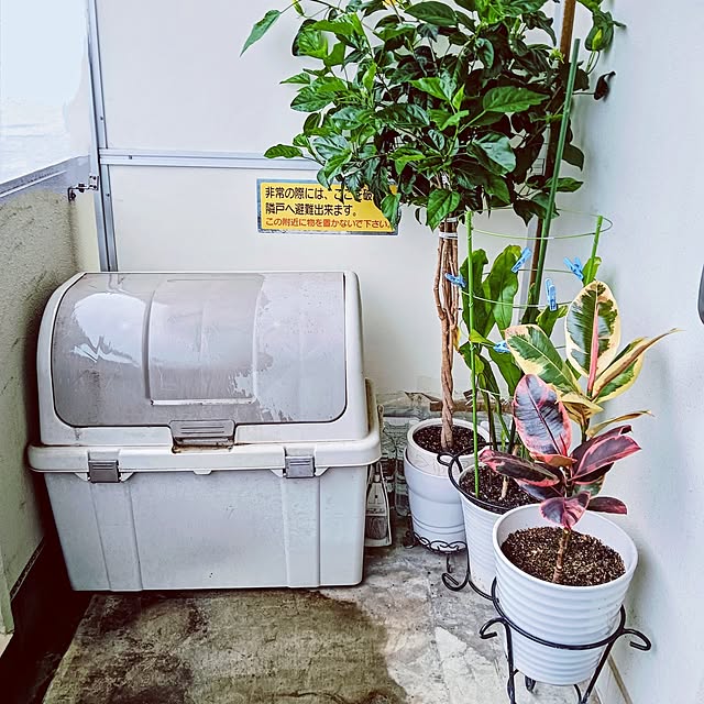 hanachanさんの部屋