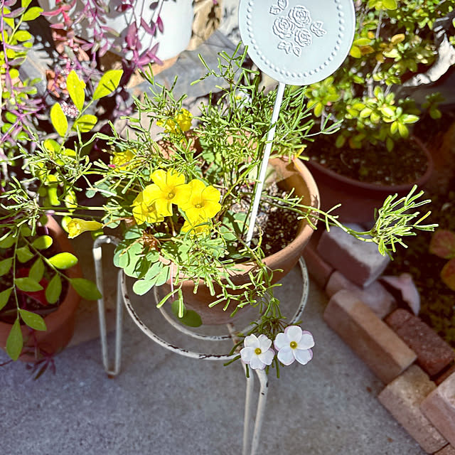 takakoさんの部屋