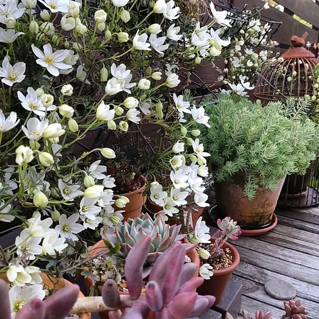 figaroさんの部屋