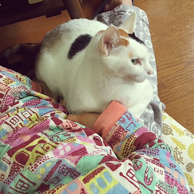ichi.さんの実例写真