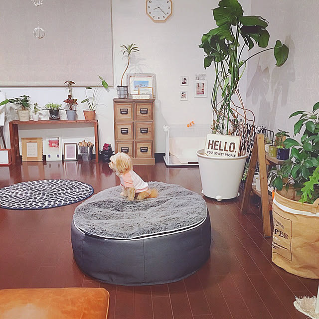 risaさんの実例写真