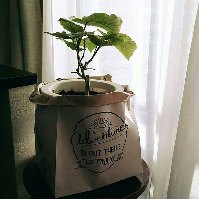 Bambooさんの実例写真