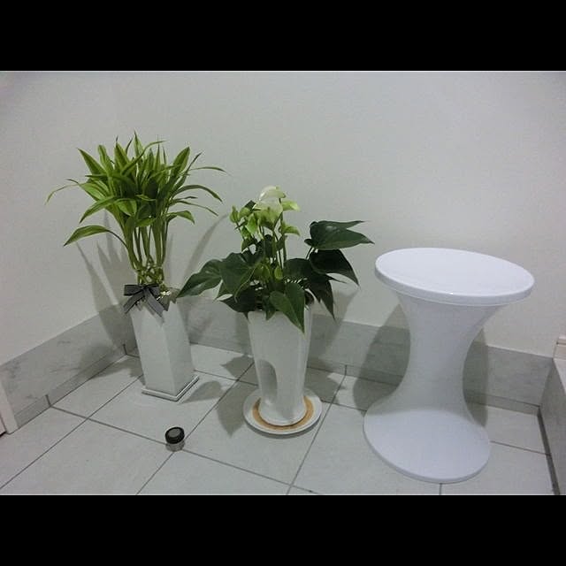 interior_amiさんの実例写真