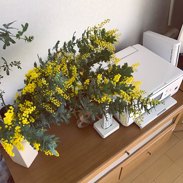 Ssさんの実例写真