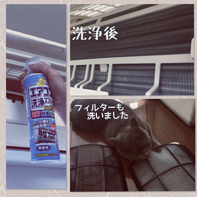 kittyさんの実例写真