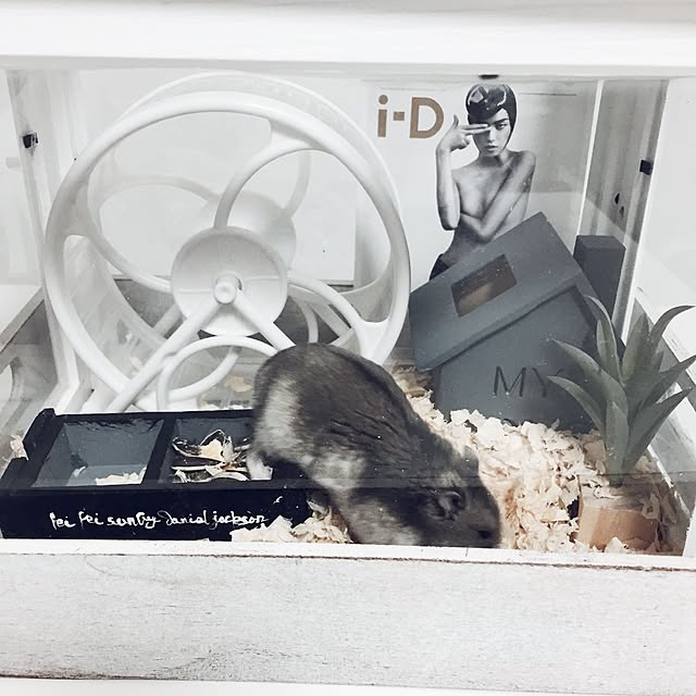 chiiiii0808さんの実例写真
