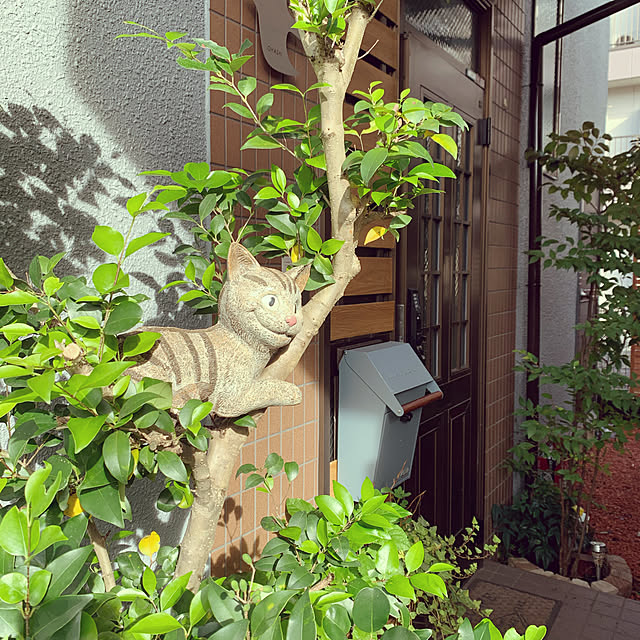 taeoさんの実例写真