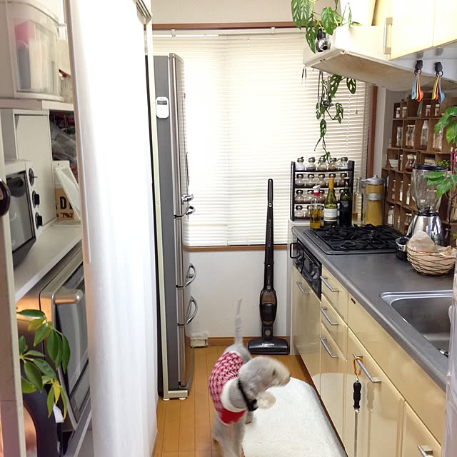 aoさんの実例写真