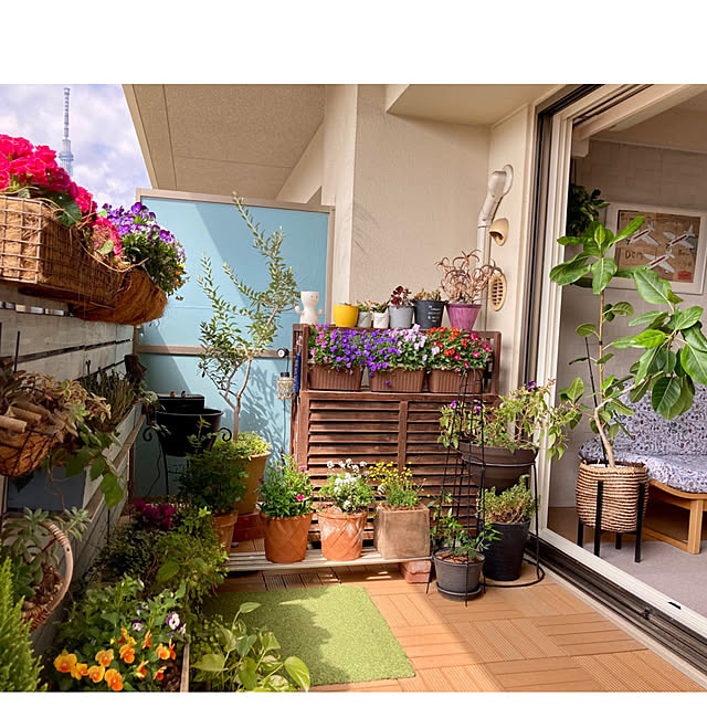 marukoさんの部屋
