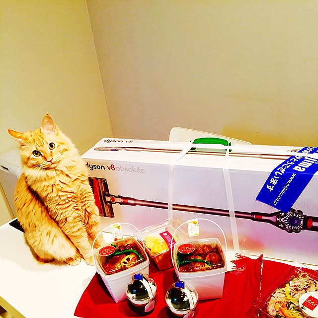Ryokoさんの実例写真