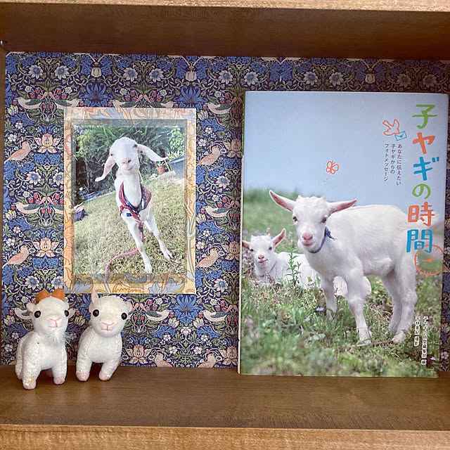 heidiさんの実例写真