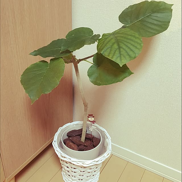 boobieさんの実例写真