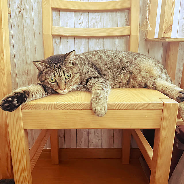 Mさんの実例写真