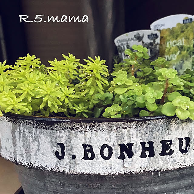 R.5.mamaさんの実例写真
