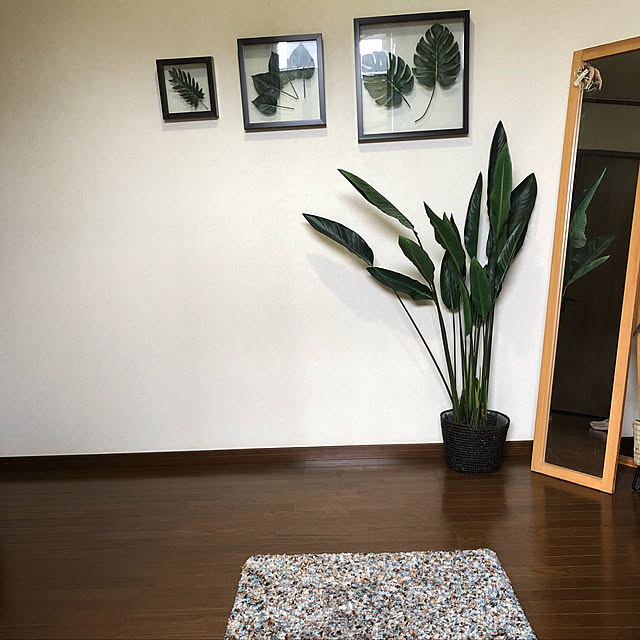 eve373さんの実例写真