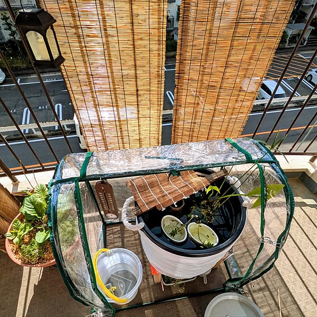 mi-saさんの実例写真