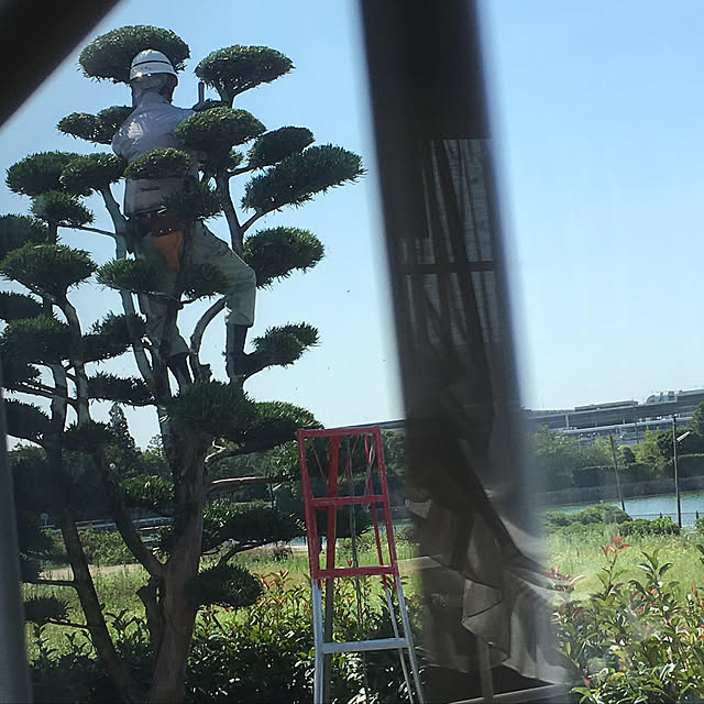 mama_sanさんの実例写真