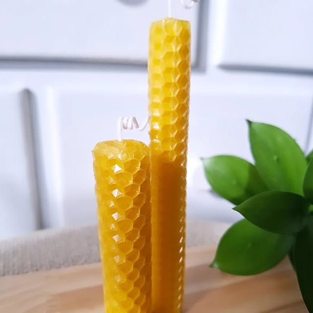 lovesspongebobさんの部屋