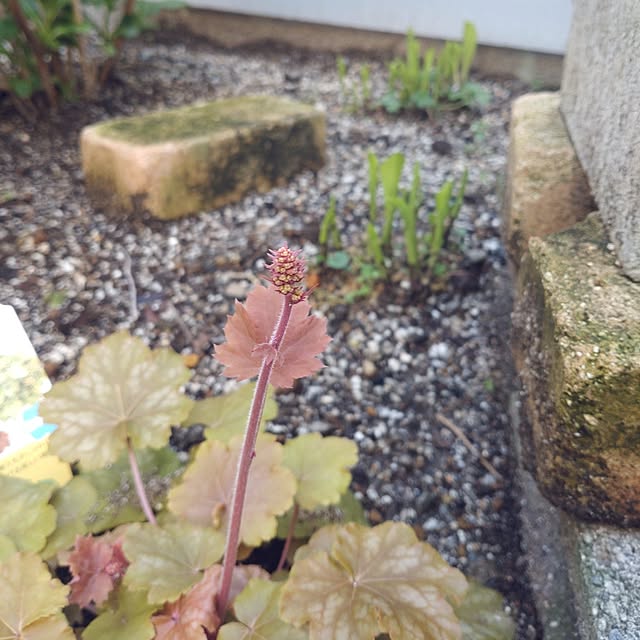 Bienvenueさんの実例写真