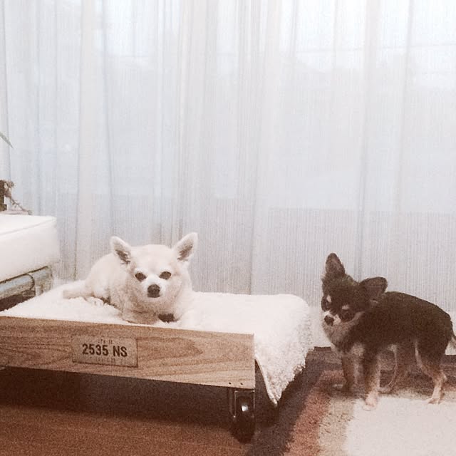 88さんの実例写真