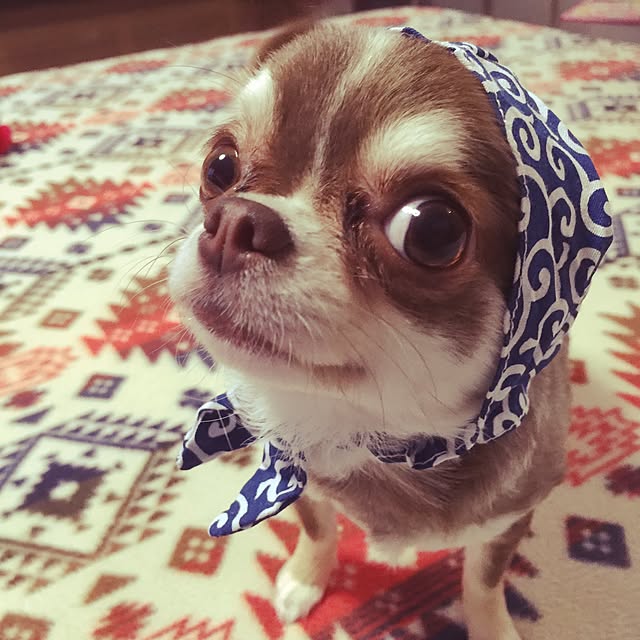 marinaさんの実例写真