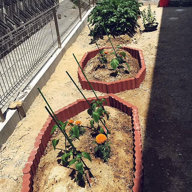 eringo921さんの実例写真