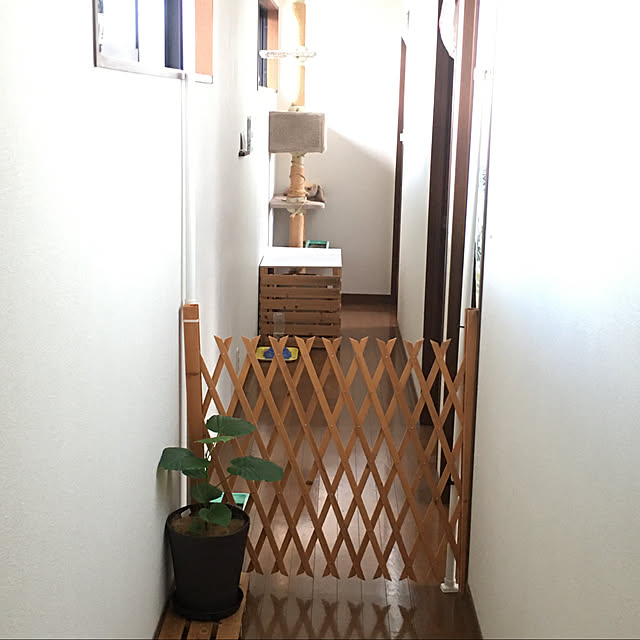 ayuさんの実例写真