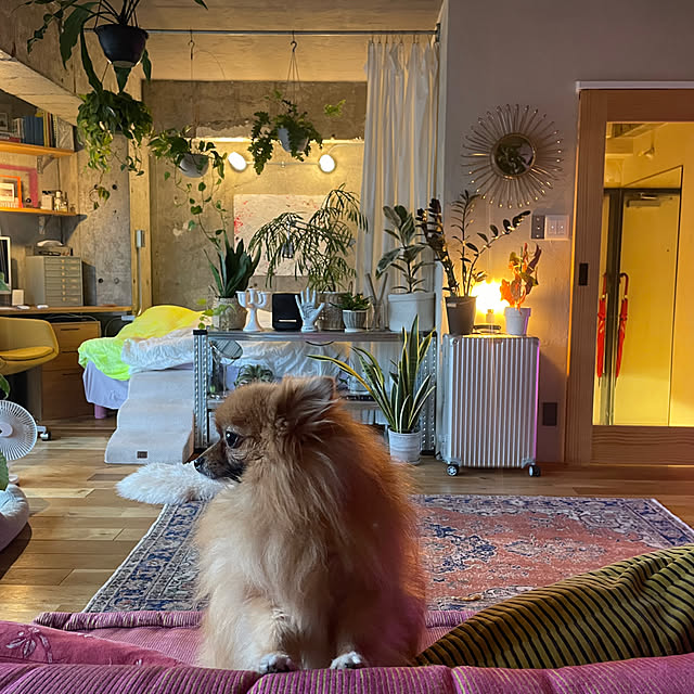 m.さんの部屋