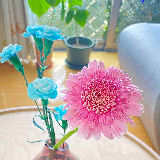 cocoさんの部屋