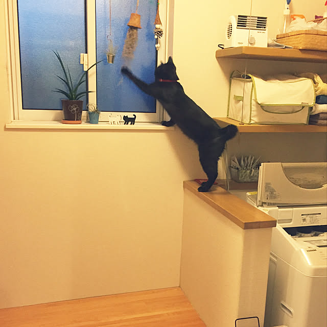 nanaさんの実例写真