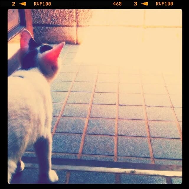 sweetさんの実例写真