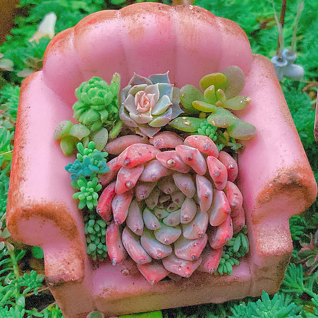 Hanakaさんの部屋