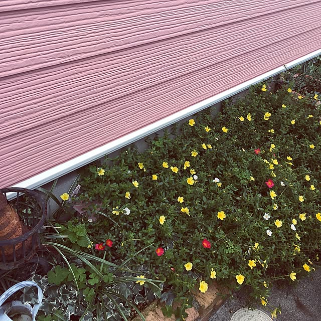 LEMONEDさんの実例写真