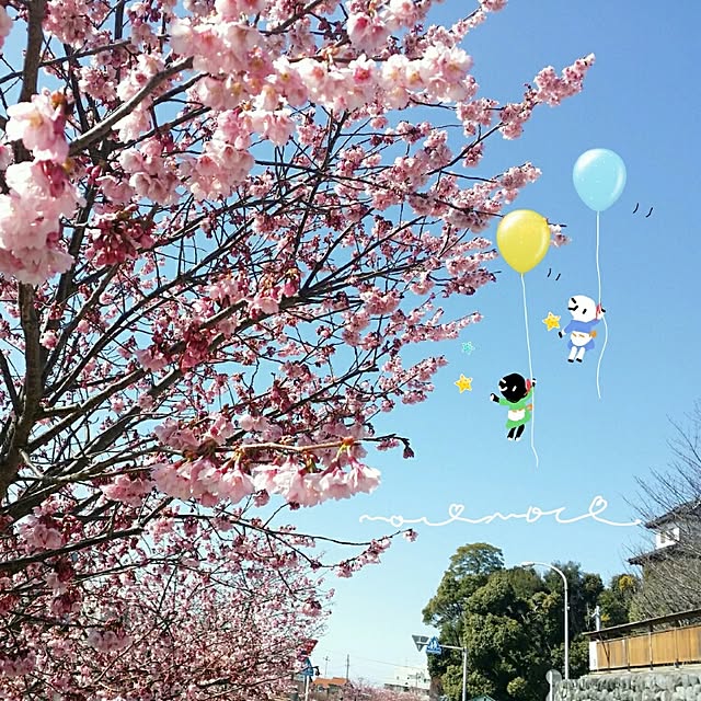 moco-mocoさんの実例写真