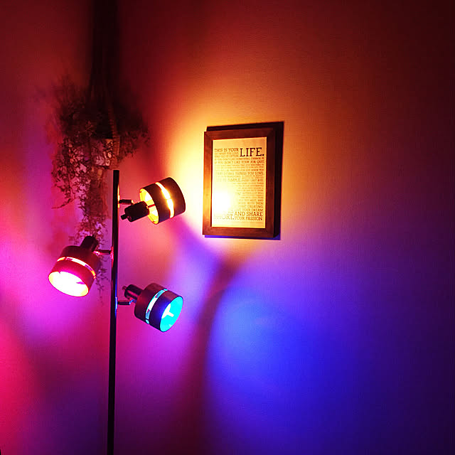 Philips_Hueさんの実例写真