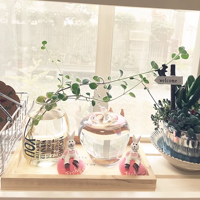 takakoさんの実例写真