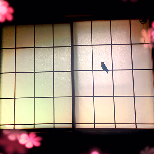 aoinokimiさんの実例写真