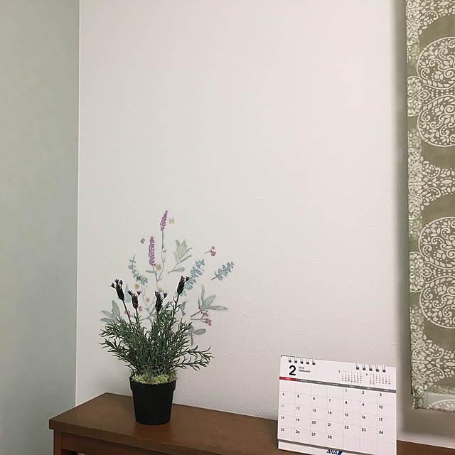 壁/天井/100均/IKEA/フェイクグリーンのインテリア実例 - 2018-02-14 21:46:36