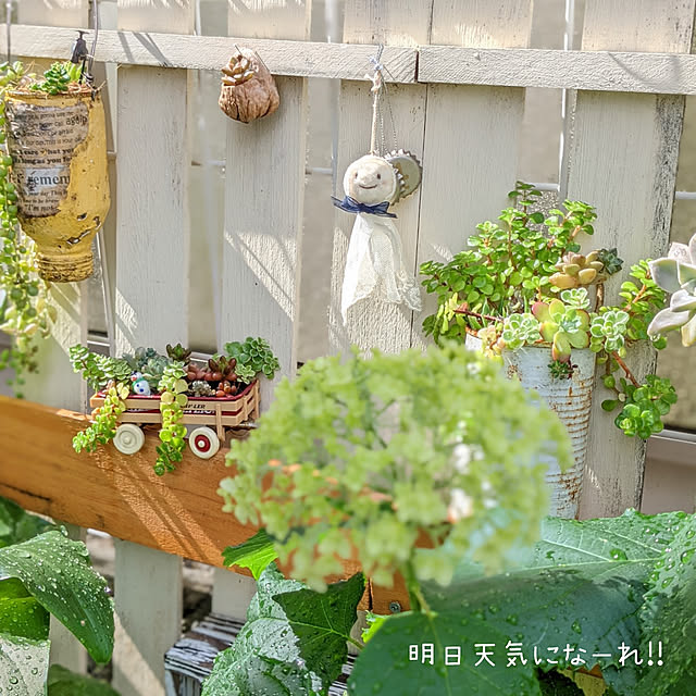 junさんの実例写真